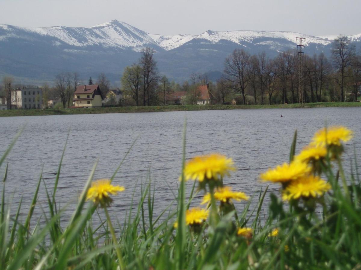 Agroturystyka Aura Kostrzyca ภายนอก รูปภาพ
