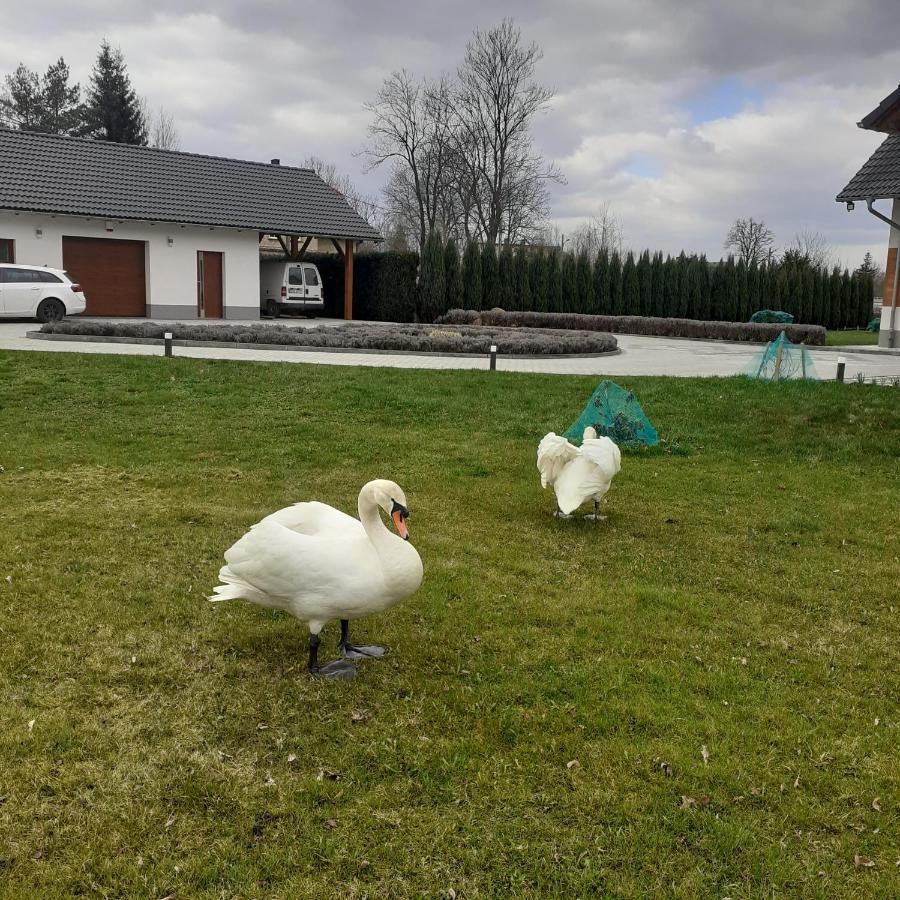 Agroturystyka Aura Kostrzyca ภายนอก รูปภาพ
