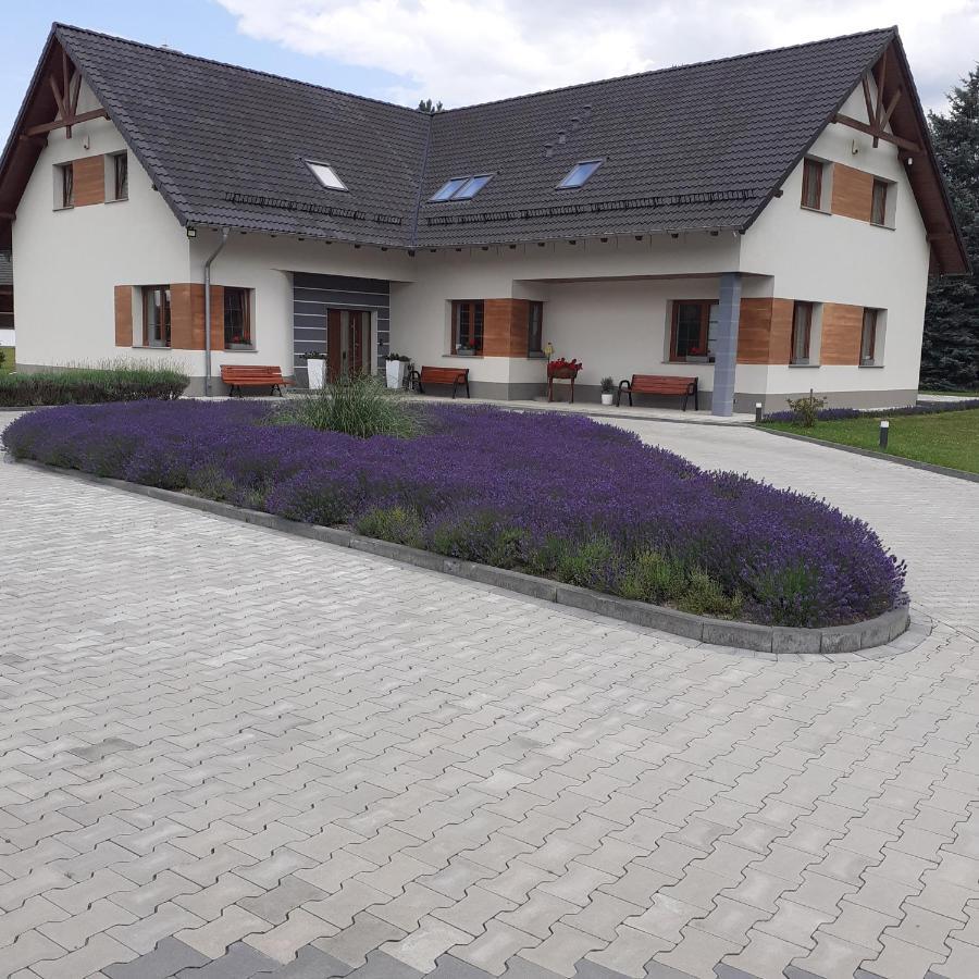 Agroturystyka Aura Kostrzyca ภายนอก รูปภาพ